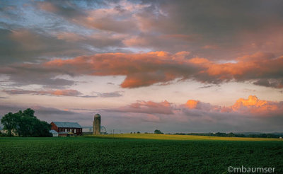 Pink Cloud Evening 017095_101