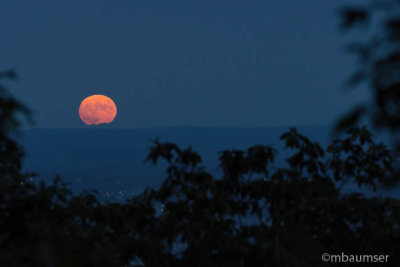 Harvest Moon Over Frederick 17274