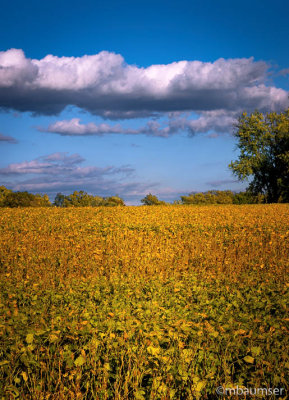 Clouds Frederick 18241