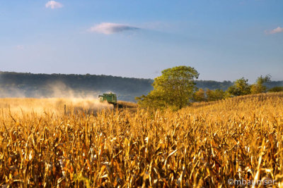 Combine In The Field 18336