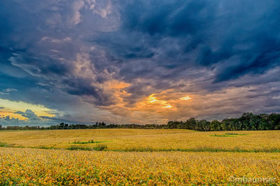 After The storm 18597_603