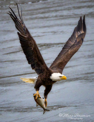 Conowingo Dam 32591