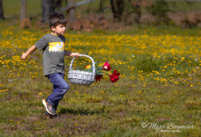 Running With Tulips 34585