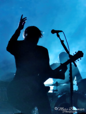 Interpol 1290929