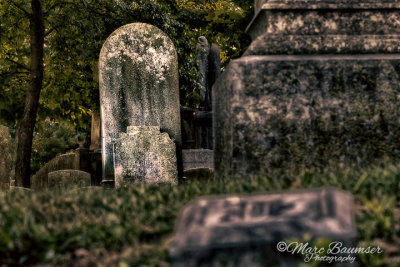 Laurel Hill Cemetery 37521_25