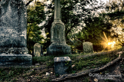 Laurel Hill Cemetery 37511_15