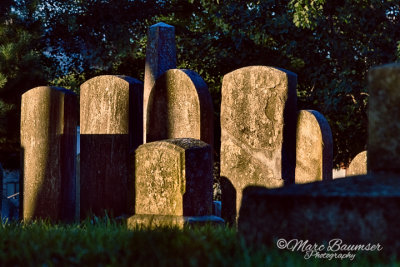 Laurel Hill Cemetery 37531_35