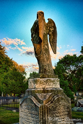 Laurel Hill Cemetery 37581_85