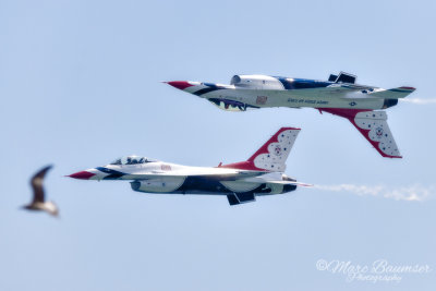 Thunderbirds 40024