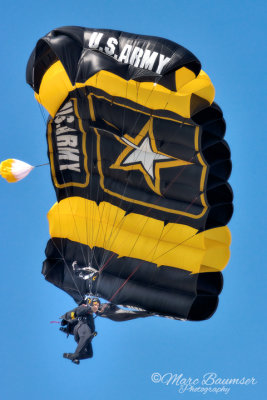 US Army Golden Knights 40711