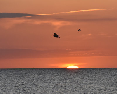 Fort Myers Sunset