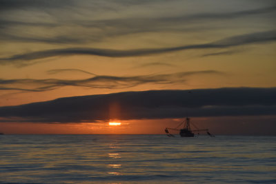 Shrimp Boat working at sunrise