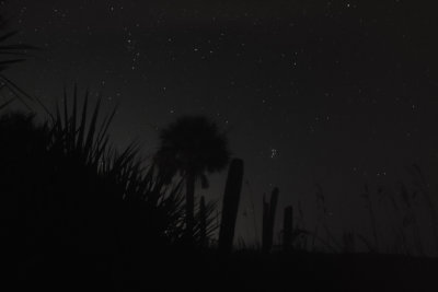 Stars at the beach