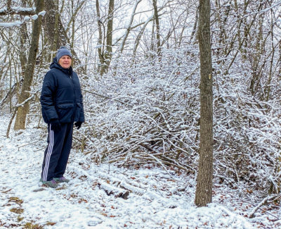 Light Snow in the Woods