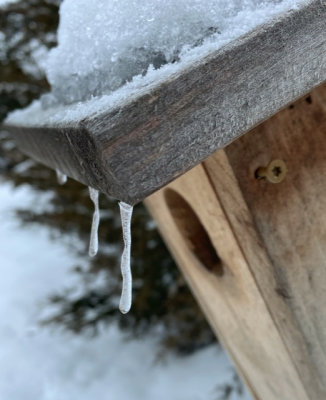 Cold Birdhouse