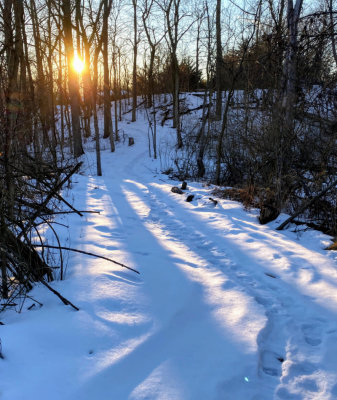 Sunset over the woods trail