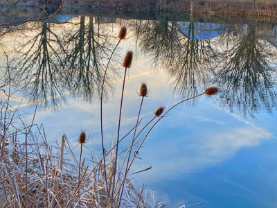 Neighbors Pond at Sunset