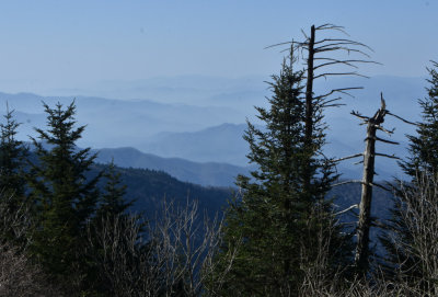 Smoky Mountains 04-2021