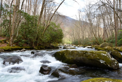 LIttle River (2 miles upstream from Elkmont Campground)