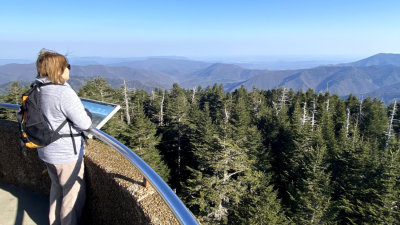 View from Clingmans Dome