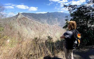 Chimney Tops (1300' elevation gain on the trail)