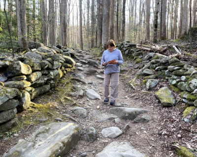 Stone fence on the Noah Ogle Farmstead nature trail