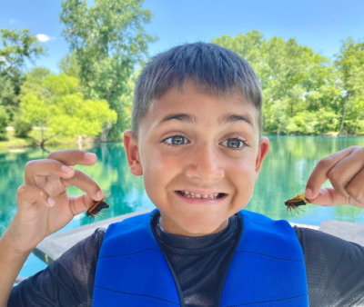 AJ likes Cicadas