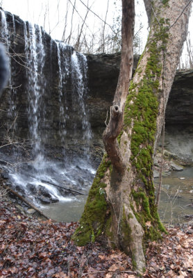 Charleston Falls