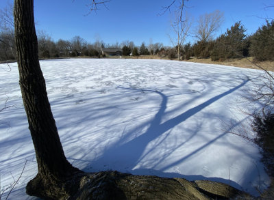 Ice on the pond this morning (9 degrees F, -13C)