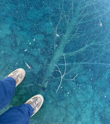 Clear Ice (tree is 2' underwater)