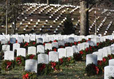 Wreaths Across America at Arlington Cemetery