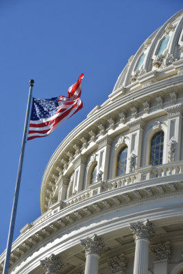 Capital Flag