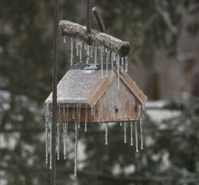 Ice on the bird feeder