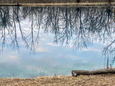 First day of March - Ice is off the pond