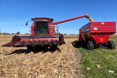 Our Grandson shelling corn