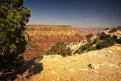 Grand Canyon N.P. (South Rim) AZ