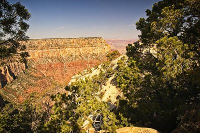 Grand Canyon N.P. (South Rim) AZ