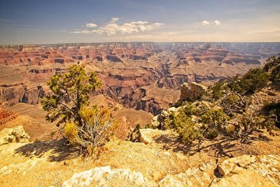 Grand Canyon N.P. (South Rim) AZ