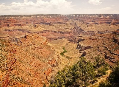Grand Canyon N.P. (South Rim) AZ