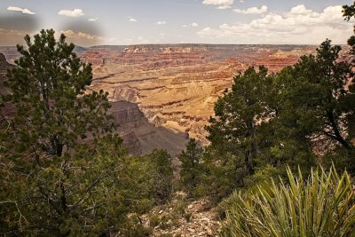 Grand Canyon N.P. (South Rim) AZ