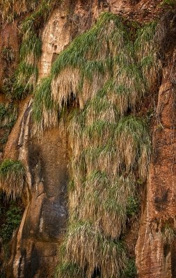 Zion N.P., UT