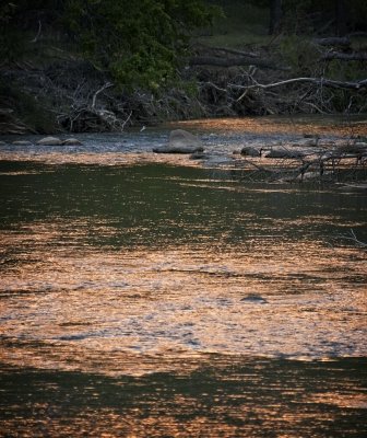 Zion N.P., UT