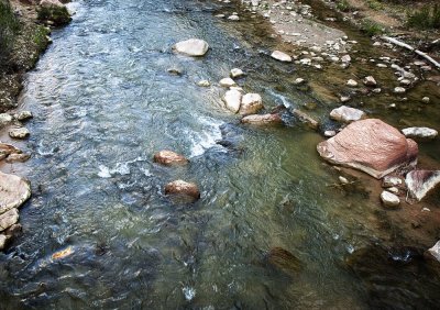 Zion N.P., UT