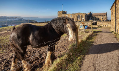 Whitby