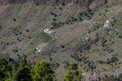 La Gomera  _8622.jpg