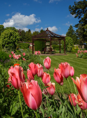 Burnby Hall - gardens. near Pocklington, east Yorkshire