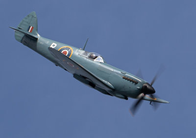 Spitfire PR Mk XI IMG_9901.jpg