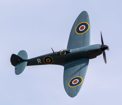 Spitfire PR Mk XI IMG_9928.jpg
