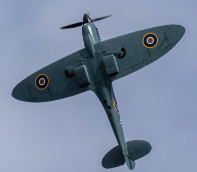 Spitfire PR Mk XI IMG_9958.jpg