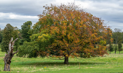 Nostell Priory